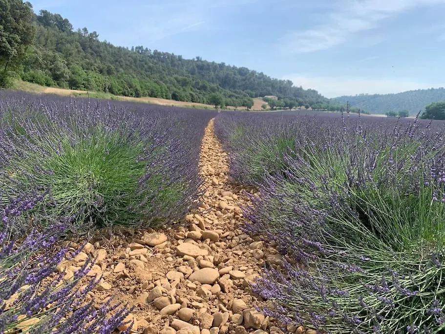 Hébergement de vacances Maisonnette atypique Saint-Paul-lès-Durance France